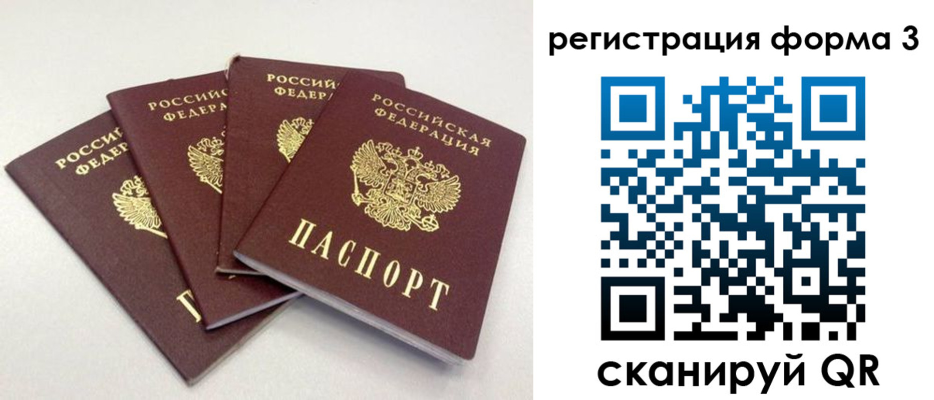 прописка 2025 в Гусеве